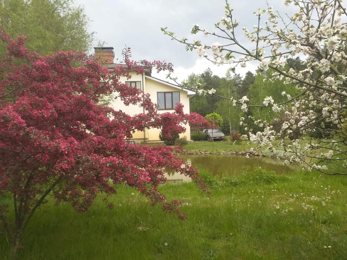 Dreilini  Guest House Pechersky & Sons المظهر الخارجي الصورة