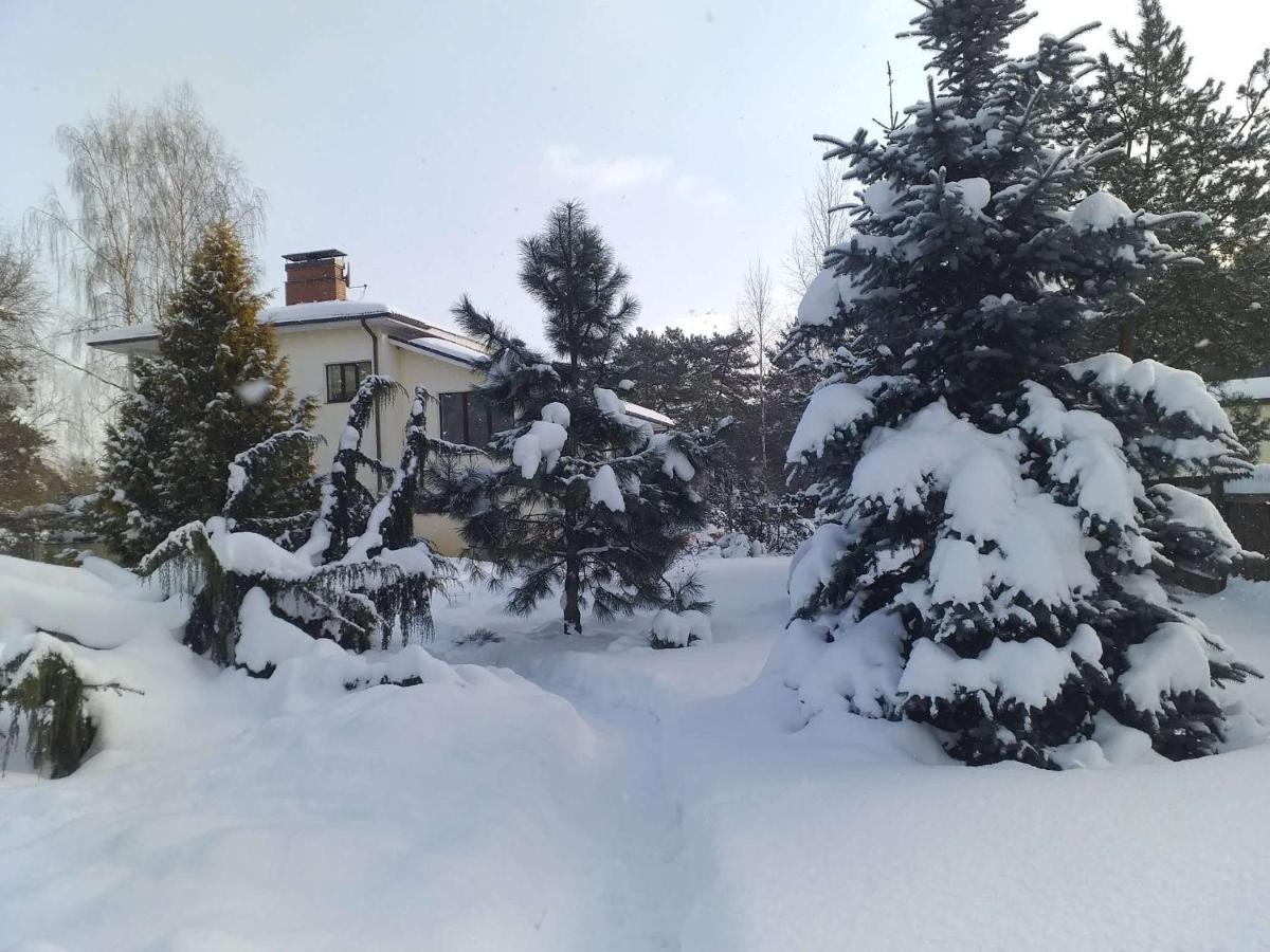 Dreilini  Guest House Pechersky & Sons المظهر الخارجي الصورة